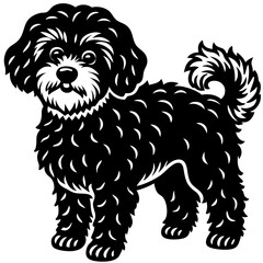 bichon frise dog black silhouette vector with white background