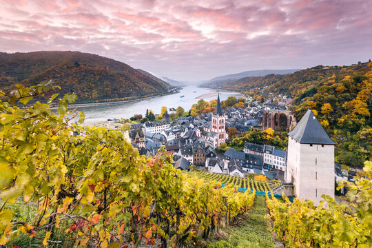 Sunrise over vineyards and river Rhine, Bacharach, Germany