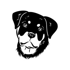Doodle One Line Drawn Rottweiler . Black Curve Rottweiler dog, vector sketch