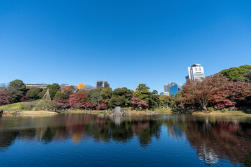 Obraz premium 小石川後楽園の紅葉