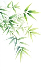 Lush green bamboo leaves on a white background.