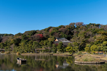 Obraz premium 紅葉の三渓園