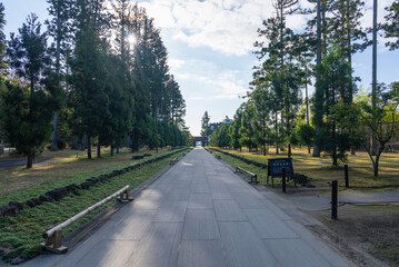 Fototapeta premium 瑞巌寺の参道