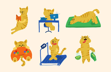 Collection of cats showing various different activities isolated on white for design elements, vector illustration