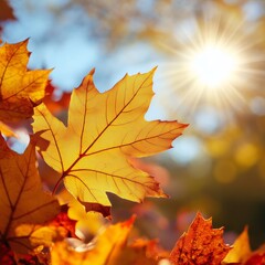 Fototapeta premium Bright Autumn Leaves Catching Sunlight in a Vibrant Natural Setting During a Crisp Fall Day