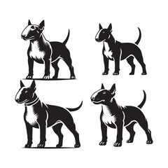 4 Set of Black Standing Bull Terrier Silhouettes Isolated on White Background