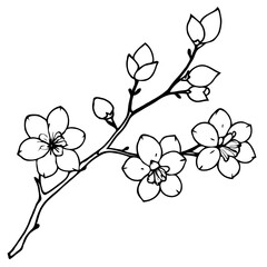 A tender cherry blossom branch with delicate pink flowers and lush green leaves, captured in a clean, elegant outline design.