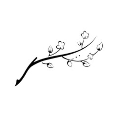 An elegant sakura branch, adorned with pink blossoms and fresh green leaves, drawn with delicate outline strokes.