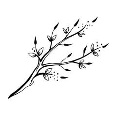 Sophisticated sakura tree branch illustration with blooming blossoms and soft green leaves, delicately outlined to bring a sense of tranquility and fresh beginnings.