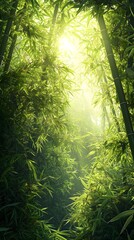 Obraz premium A serene green bamboo forest illuminated by soft sunlight, creating a peaceful atmosphere with vibrant foliage and gentle rays filtering through the trees.