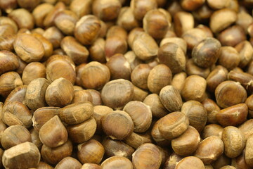 The chestnut is a nut produced by trees of the Castanea genus, known for its rich, earthy flavor and versatility in cooking. 