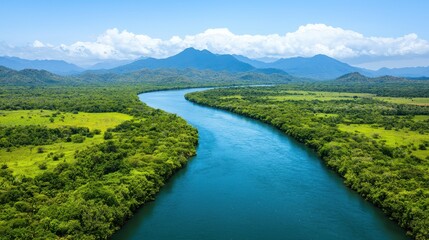 Fototapeta premium Serene Aerial View of Lush Green Landscape and River Flowing