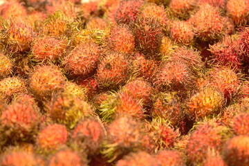 Fototapeta premium The rambutan (Nephelium lappaceum) is a tropical fruit known for its unique and striking appearance. It is small and round, about the size of a golf ball, and covered in a hairy or spiky outer skin 