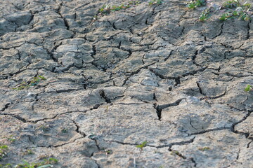 Sécheresse terre sèche