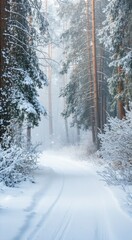 Fototapeta premium Snowy path through a forest with trees and snow