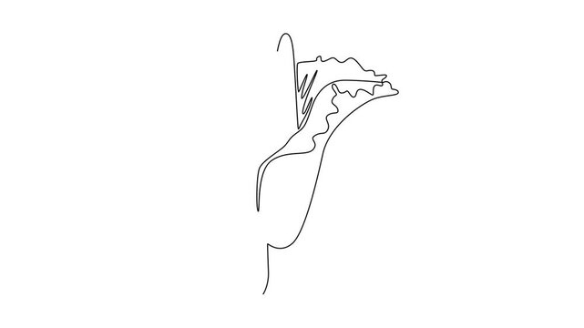 Animated self drawing of continuous line draw beauty fresh amorphophallus titanum for home wall decor art poster. Decorative titan arum flower for national park icon. Full length single line animation