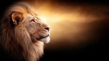 Fototapeta premium A close up of a lion's face with the sun in the background