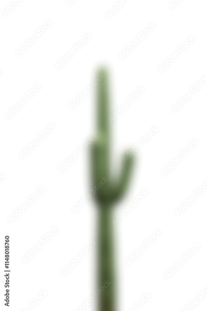 Poster a lone tree cactus stands out starkly against a clean white background in this simple yet striking i