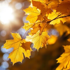 Golden Autumn Leaves Glisten in the Sunlight Among Trees in a Serene Forest Setting During Late Afternoon in Fall