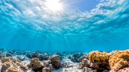 Fototapeta premium A coral reef with sunbeams shining through the water