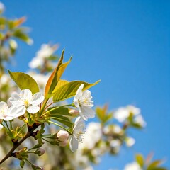 A welcome to the spring season 