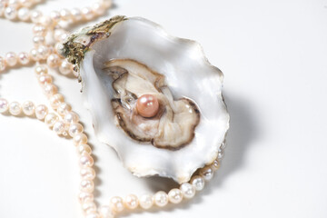 Pearl, One natural pearl inside the oyster shell, close up, on white background. Nacre. Real Pearls...