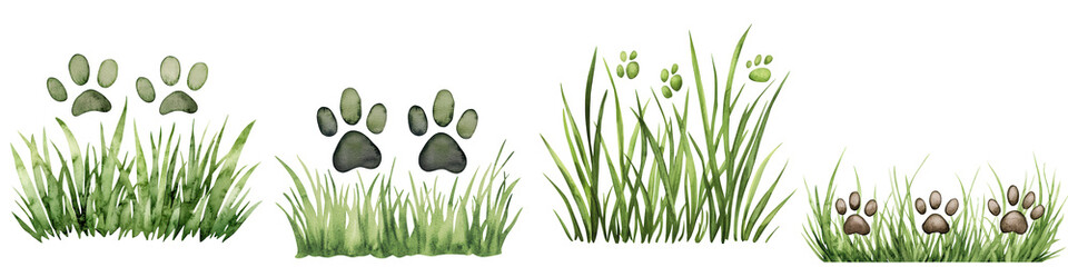 Fototapeta premium Bunny tracks in green grass with watercolor style, perfect for nature themes, isolated on transparent background.