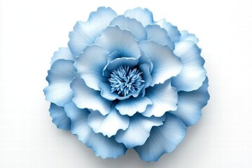 Beautiful Blue Flower with Delicate Petals and Intricate Details Captured on a Soft Background, Perfect for Nature and Spring Designs
