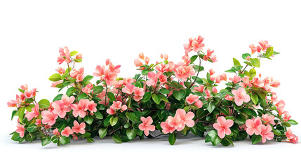 Floral bush of wildflowers isolated on white background, a bush made with grass and wildflowers