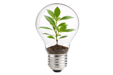 Transparent bulb housing a lush green plant rooted in soil, symbolizing growth, renewal, and the union of nature with creativity, isolated on a transparent background