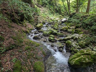 road to the cave in shiga