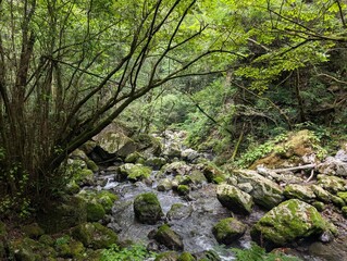Obraz premium road to the cave in shiga