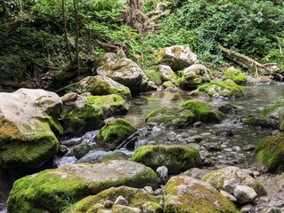 road to the cave in shiga