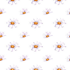 Watercolor floral pattern with white daisies. Seamless background with wildflowers. Hand-painted illustration.