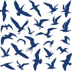 Collection of blue seagull silhouettes.