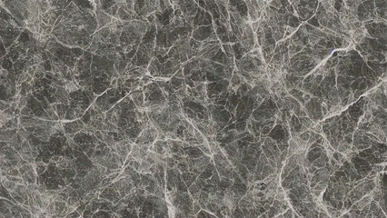 Fototapeta premium Dark marble texture with intricate white veining
