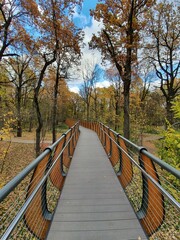 Obraz premium wooden bridge in the forest