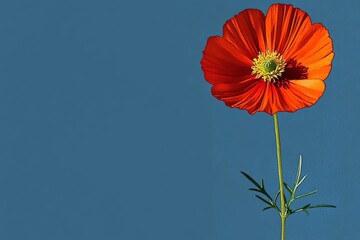 Fototapeta premium Minimalistic design featuring a vibrant blooming flower against a blue background