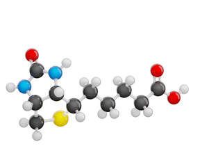 Molecule of vitamin B7 (Biotin or vitamin H). Molecular formula: C10H16N2O3S. Chemical model: Ball and Stick. Isolated. Transparent background. PNG transparent. 3D illustration.
