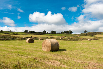 Yorkshire Field