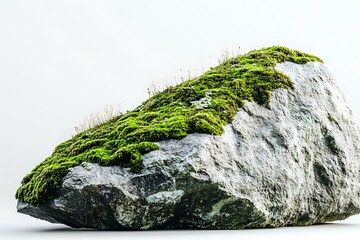 Diagonal perspective of moss-covered rock emphasizing moss texture and rock details,...