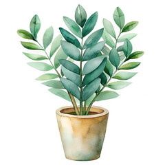 Elegant Watercolor Potted Plant Illustration with Green Leaves