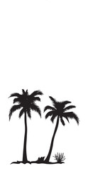 Palm Or Coconut Tree Silhouette Vector illustration