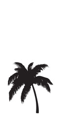 Obraz premium Palm Or Coconut Tree Silhouette Vector illustration