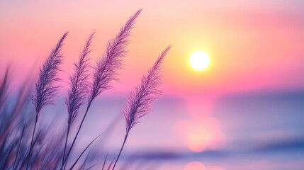 Little grass stalk close-up with sunset over calm sea, sunset over horizon. Pink & purple pastel watercolor soft tones. Beautiful nature background