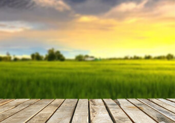 Wooden table top on blur rice field background in daytime.Harvest rice or whole wheat.For montage product display or design key visual layout.View of copy space.