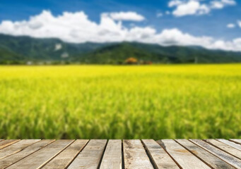 Wooden table top on blur rice field and mountain background in daytime.Harvest rice or whole wheat.For montage product display or design key visual layout.View of copy space.