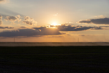 Fototapeta premium A rural field with green grass and other vegetation at sunset