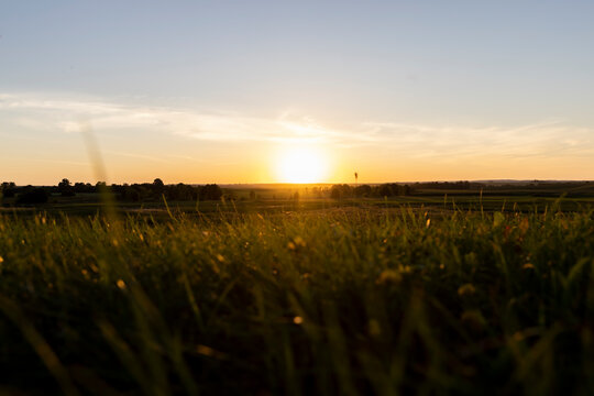 beautiful summer sunset in a field with green grass and trees