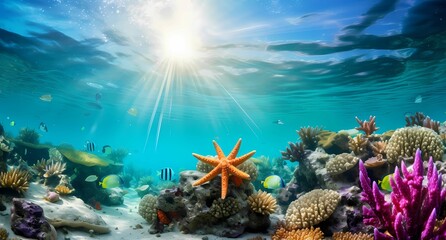 Sunny underwater scene with coral reefs